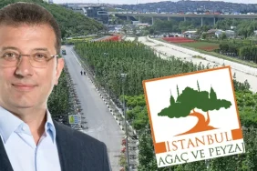 ibb-sorusturmasinda-agac-ve-peyzaj-as-operasyonu-7-kisi-serbest-22-kisinin-emniyette-ifade-PA2VwRwE.webp