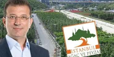 ibb-sorusturmasinda-agac-ve-peyzaj-as-operasyonu-7-kisi-serbest-22-kisinin-emniyette-ifade-PA2VwRwE.webp