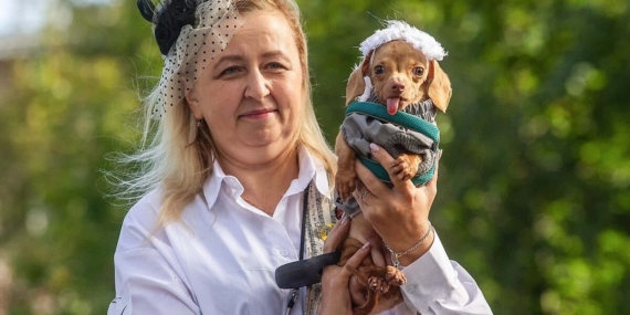 mesele-kedi-kopek-degil-aile-ile-cocuklardan-kurtulmak-WjKIgNHS.jpg