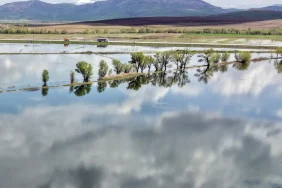 sivasta-1500-donumluk-tarim-arazisinde-su-baskini-COkj5RcY.webp